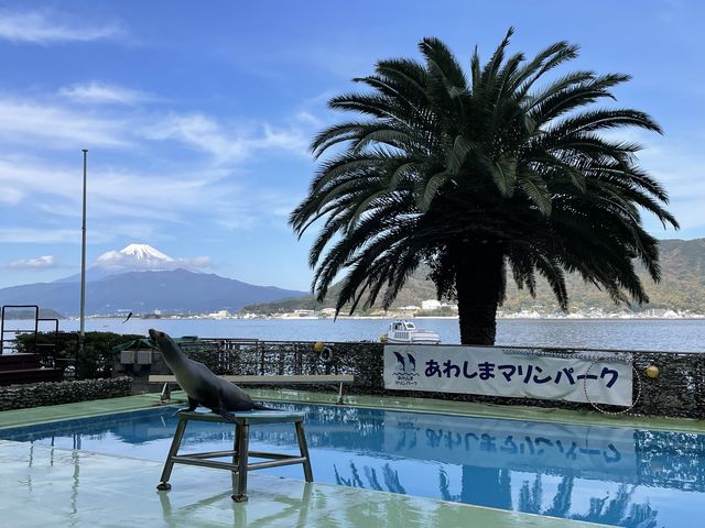 富士山の絶景が見える！あわしまマリンパーク