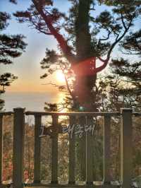 부산을 일찍 시작하는 방법! 아침이 아름다운곳🌅