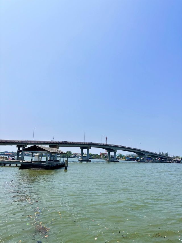 เส้นทางเลียบเลาะชายฝั่ง ปากแม่น้ำบางตะบูน เพชรบุรี