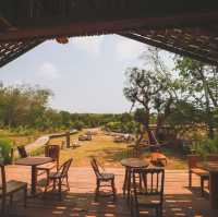  โอบบ์ Farm & Cafe แกลง ระยอง 