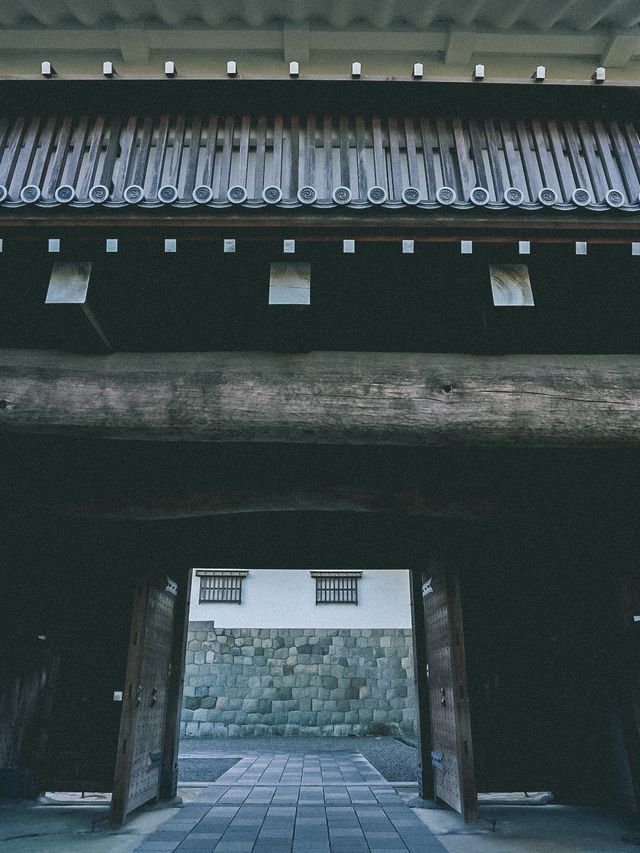 徳川家康めぐりで行って欲しい！駿府城公園