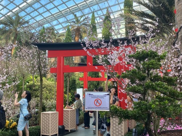 Sakura x Pokémon at Gardens by the Bay