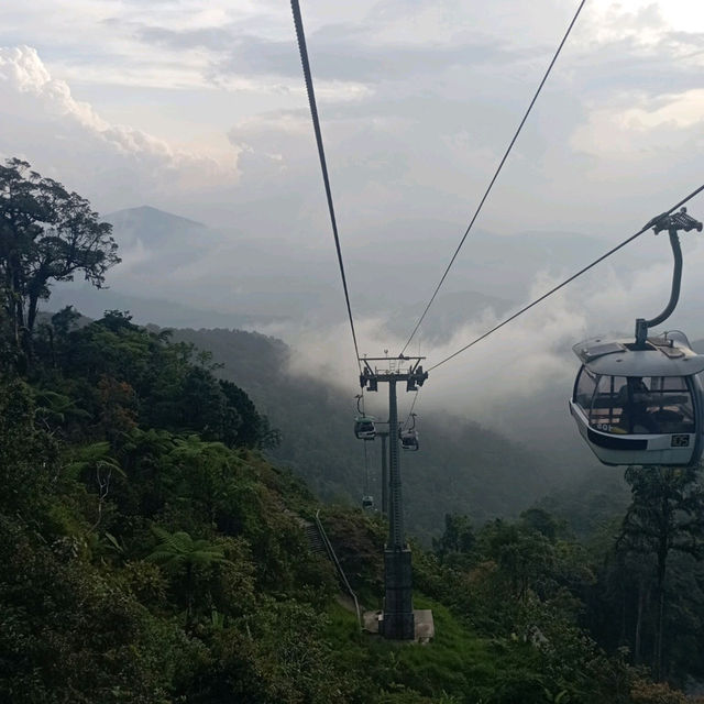 Viewing Natural Forest When Taking Skyway