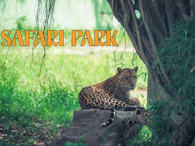 สวนสัตว์เปิด ซาฟารีปาร์ค กาญจนบุรี
