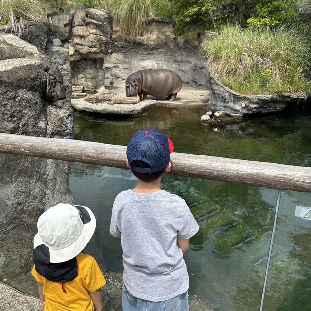 【 市區內的傳統動物園。天王寺動物園 】