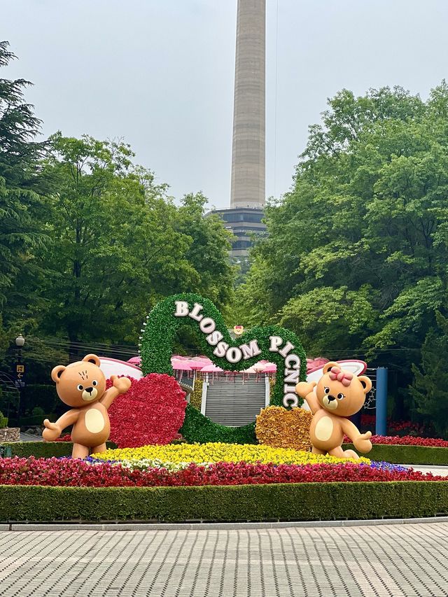 Where Dreams come true 365일 추억을 만드는 곳으로 초대합니다 :)