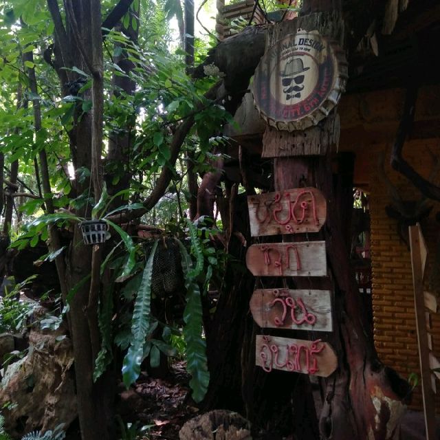 สวนป่าตากา อำเภอวังเจ้า
