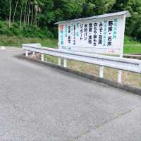 全て茨木産！手作りジェラード　見山の郷