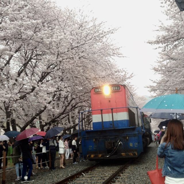 Gyeonghwa Train Station in Jinhae