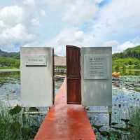 คาเฟ่บรรยากาศดี พังงา