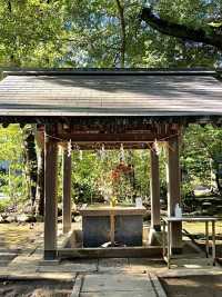 【東京都/赤坂氷川神社】生け花スタイルの花手水のある神社