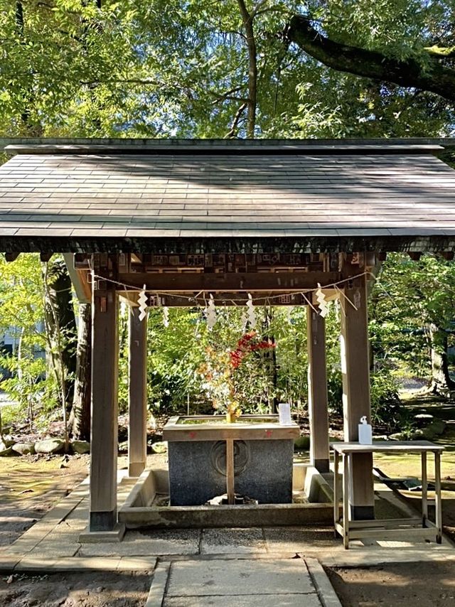 【東京都/赤坂氷川神社】生け花スタイルの花手水のある神社