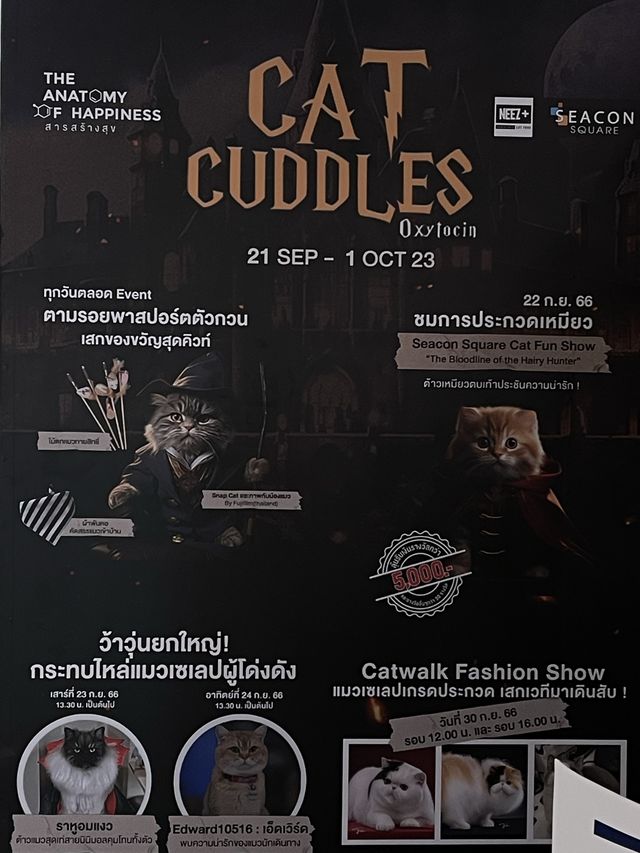 งานน้องแมว สายเวทมนต์