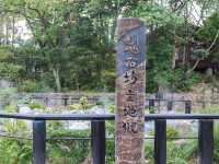 【大分県】 別府名物「別府 地獄めぐり」①海地獄〜鬼石坊主地獄👹