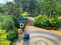 Playtime At Singapore Zoo