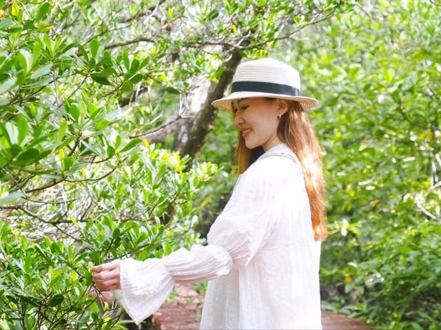 🌿 พาเดินชมเส้นทางธรรมชาติป่าโกงกาง