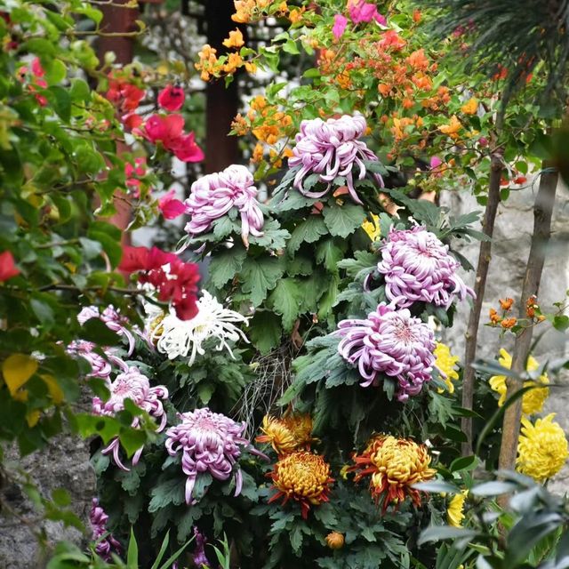 三湘庭 🌺🏯嶺南庭院的花香🌳💐