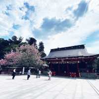 Exploring Nikko World Heritage in Japan