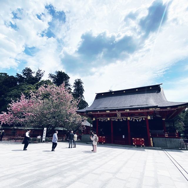 Exploring Nikko World Heritage in Japan