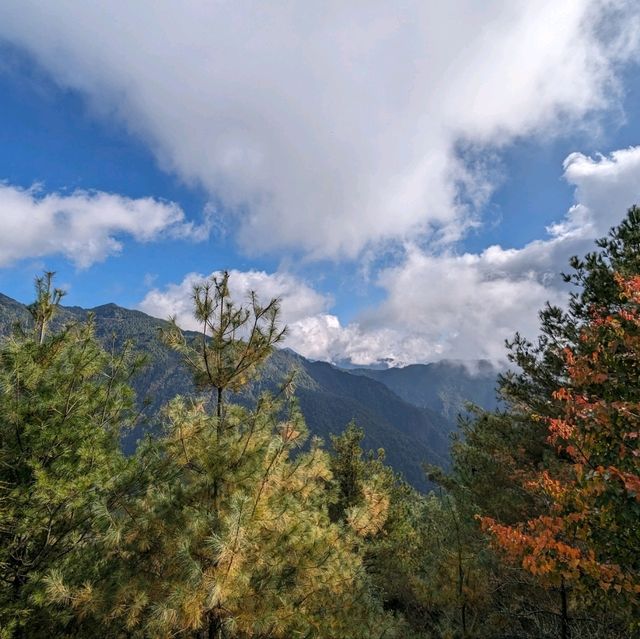 大雪山國家森林遊樂區的美好享受