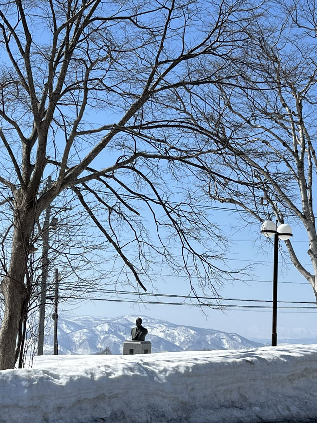 Niseko สัมผัสอากาศหนาวที่หิมะที่นุ่มที่สุด
