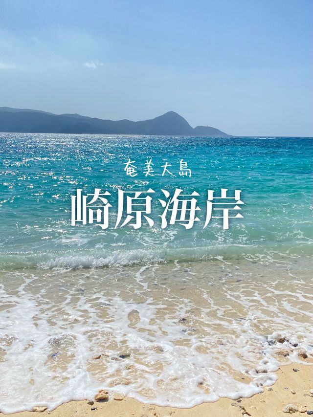 2023年いちばん感動した絶景ビーチ奄美大島の崎原海岸