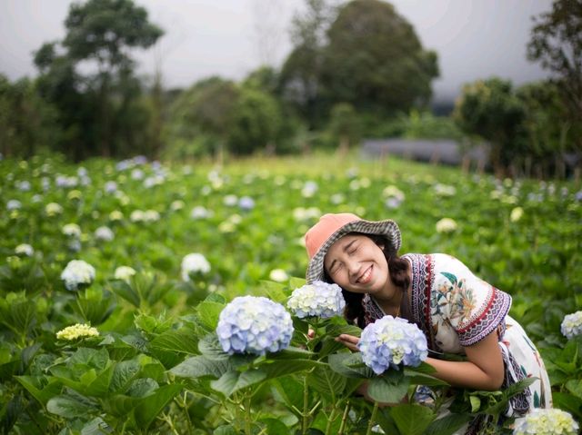 กระท่อมตะวันไรวินท์ บ้านขุนแปะ เชียงใหม่ 