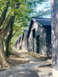 【完全保存版📍】山形女子旅おすすめ映えスポット6選👭🌸🌲