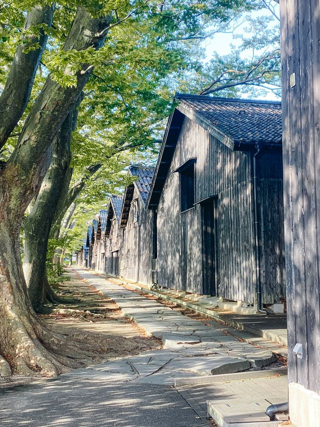 【完全保存版📍】山形女子旅おすすめ映えスポット6選👭🌸🌲