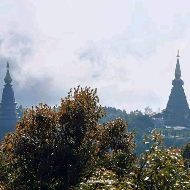 กิ่วแม่ปาน มนต์เสน่ห์ธรรมชาติแห่งดอยอินทนนท์