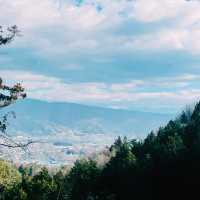 【長野県/森の中にある眺めの良いレストラン🌲🍽️🦌✨】