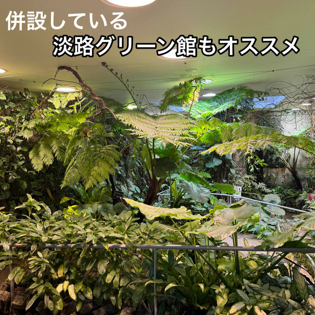 淡路島の映えにはココ！淡路夢舞台！