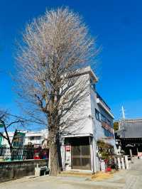 【東京都/北三谷稲荷神社】屋根にいる狐さまが必見