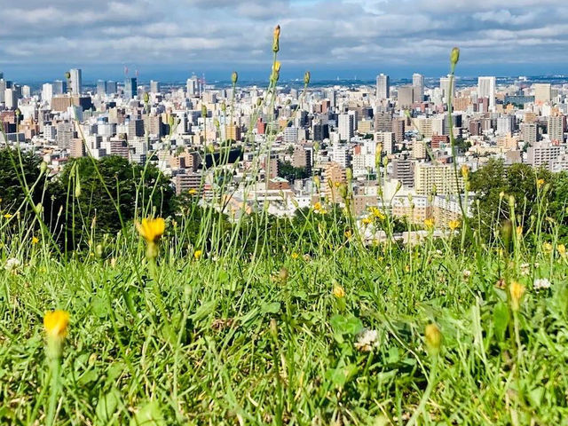 Asahiyama Memorial Park 