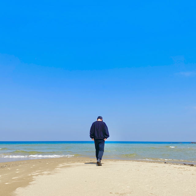 작년 그 바다 다시 가고싶다 - 송지호해수욕장