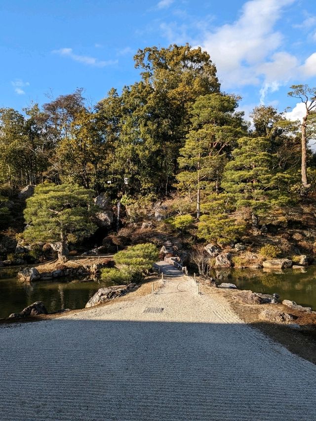 仁和寺の庭や池を眺めるていると、神社とは、また違う…寺院独特の荘厳な美しさを感じる