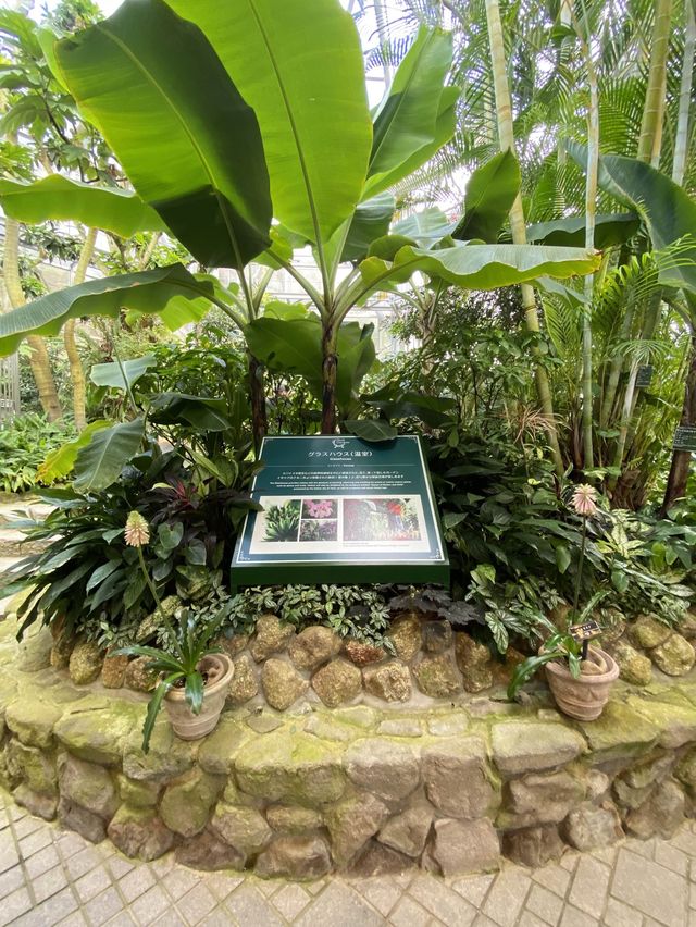 愛の名称!布引ハーブ園グラスハウス香りの温室 愛の名称!布引ハーブ園グラスハウス香りの温室