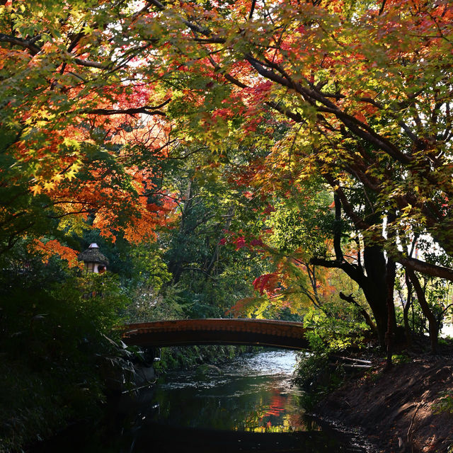 Fukuoka ปักหมุดที่เที่ยวฟุกุโอกะ 