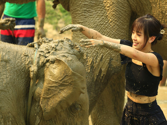 「清邁大象退休公園」：餵食、洗澡、親密互動，享受大自然的綠意