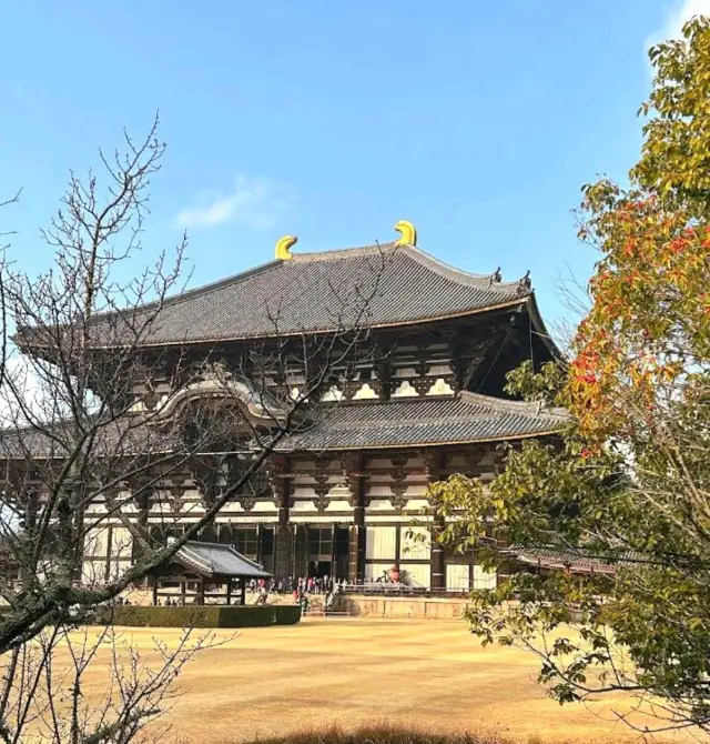 Todaiji Temple