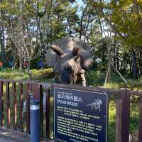 A Prehistoric Adventure in the Skies