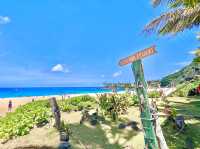 Waimea Bay Beach Park