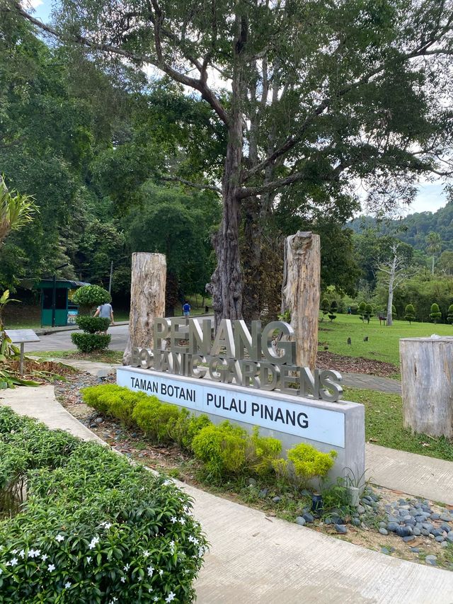 Tranquil Penang Botanjc Gardens 🇲🇾