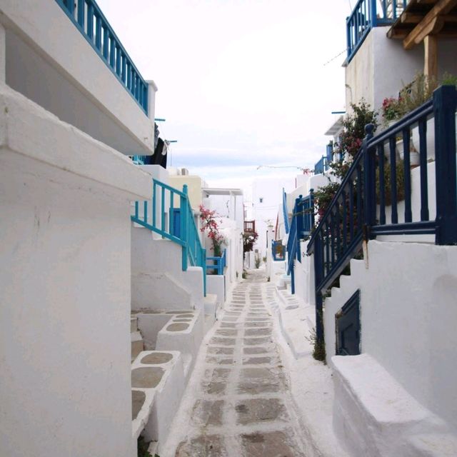 希臘Mykonos又名貓島