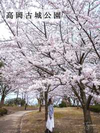 【富山】18種類1,800本もの桜が植えられている公園