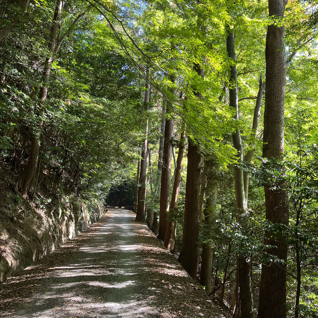 【世界遺産】春日山原始林　〜春日山遊歩道