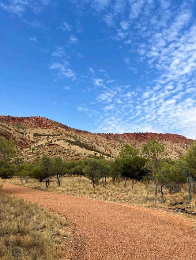 Alice Springs Desert Park