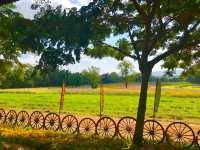 Living in harmony with nature 🇹🇭 ❤️