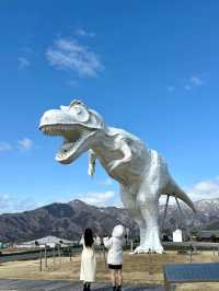 【福井】写真映えスポットからご当地グルメまで✨福井県でやりたいことをまとめたよ✍