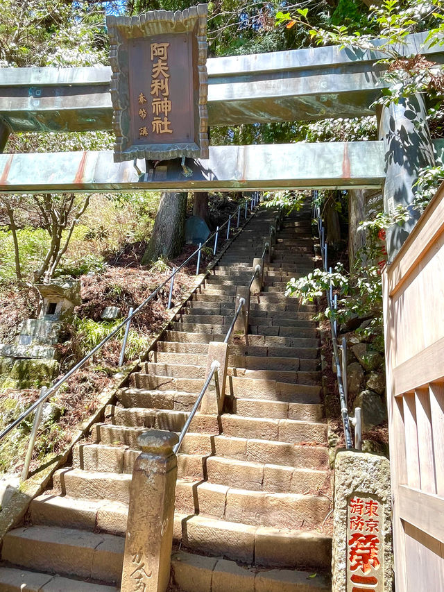 【大山阿夫利神社/神奈川県】春は華やかな枝垂れ桜のもとで参拝